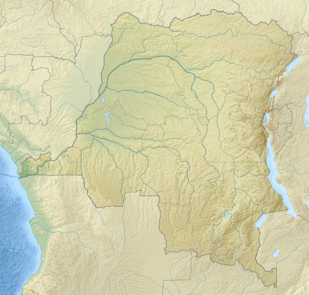 Detailed relief map of Congo Democratic Republic
