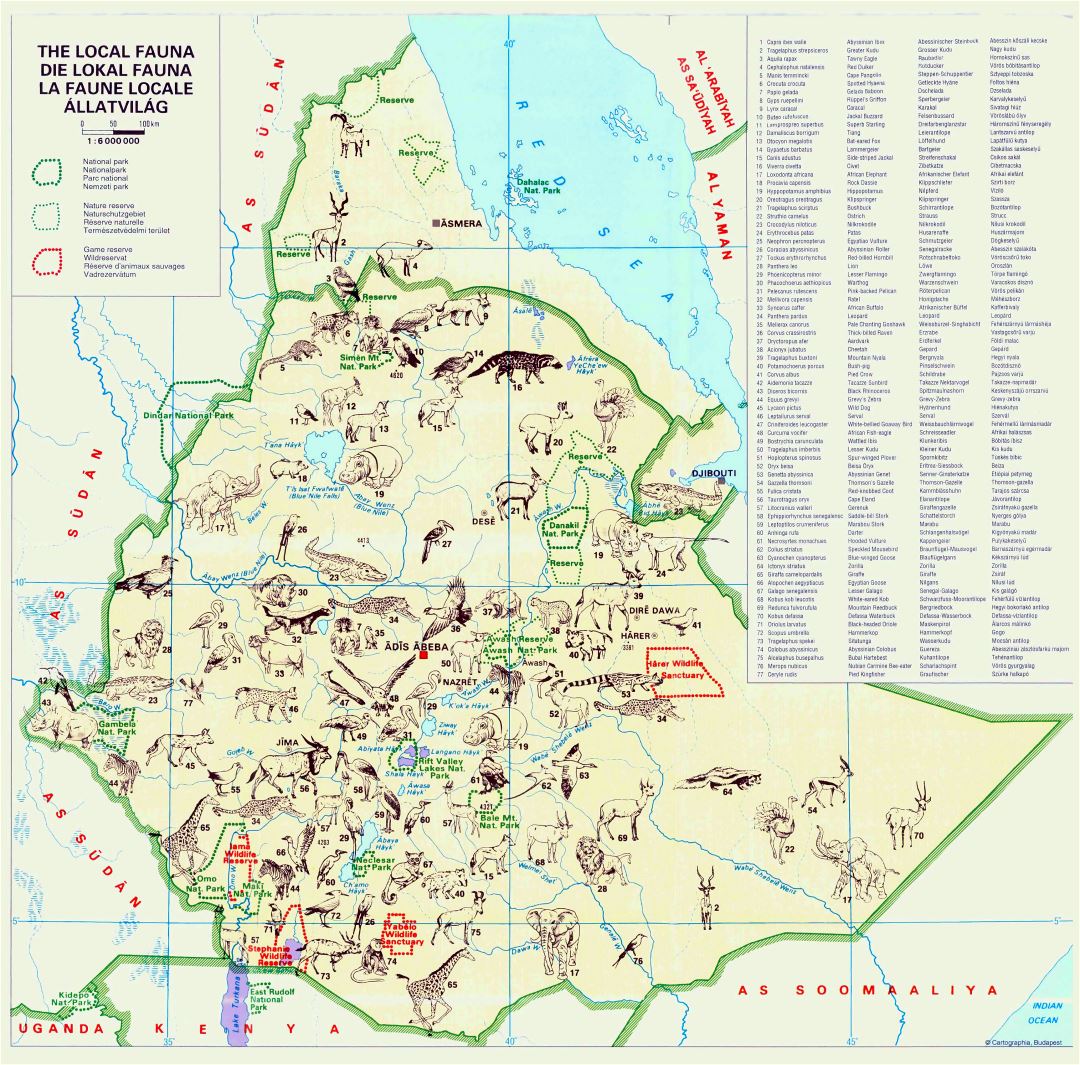 Large detailed local fauna map of Ethiopia