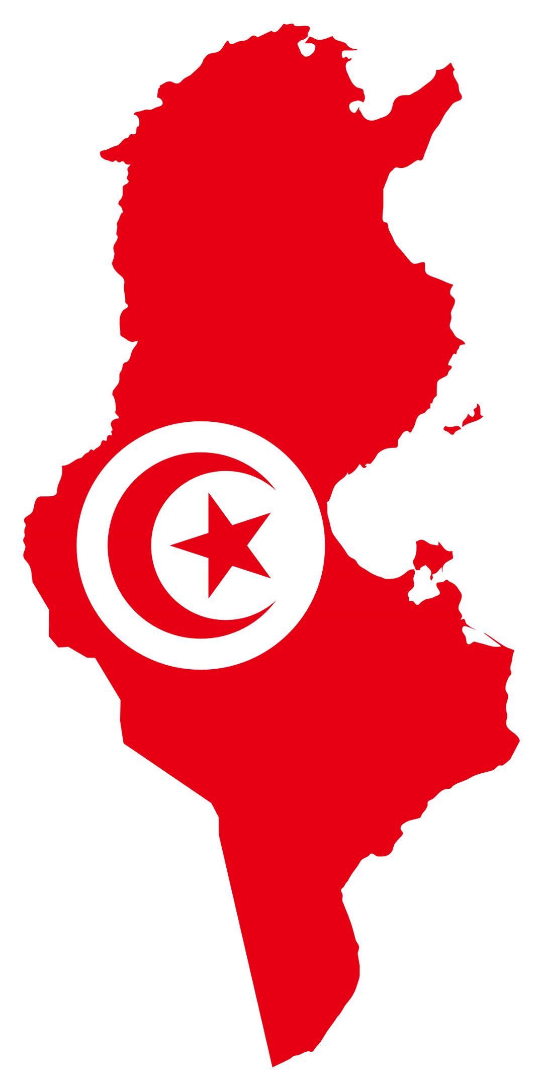 Detailed flag map of Tunisia