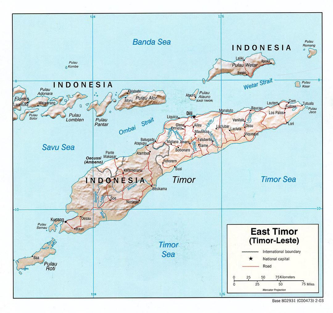 Detailed political map of East Timor with relief, roads and major cities - 2003