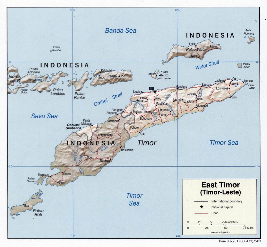 Large detailed political map of East Timor with relief, roads and major cities - 2003
