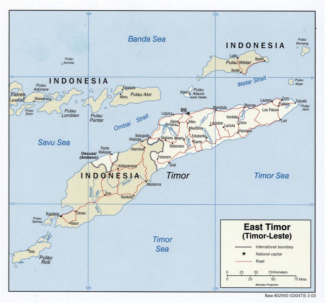 Large detailed political map of East Timor with roads and major cities - 2003