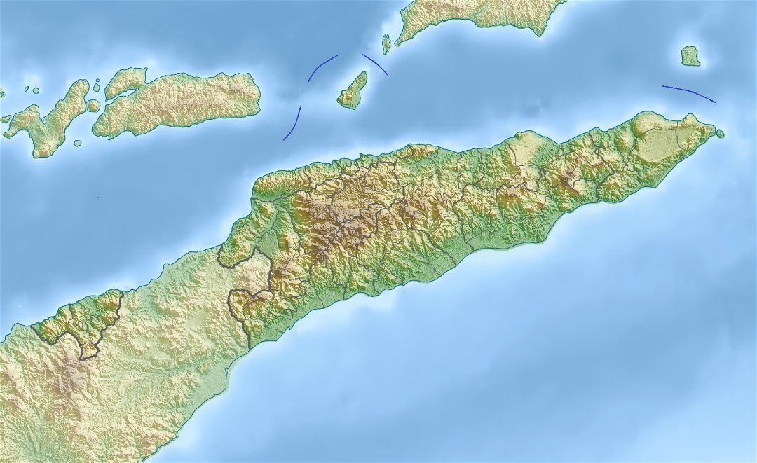 Large relief map of East Timor