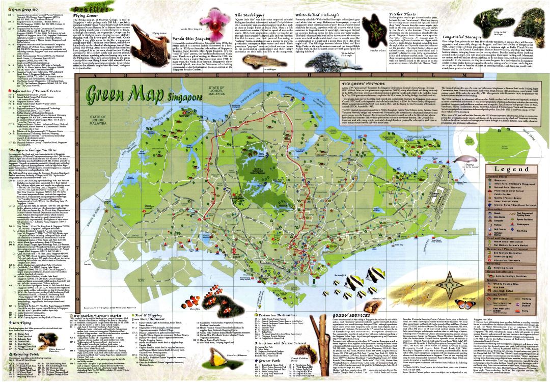 Large detailed green map of Singapore