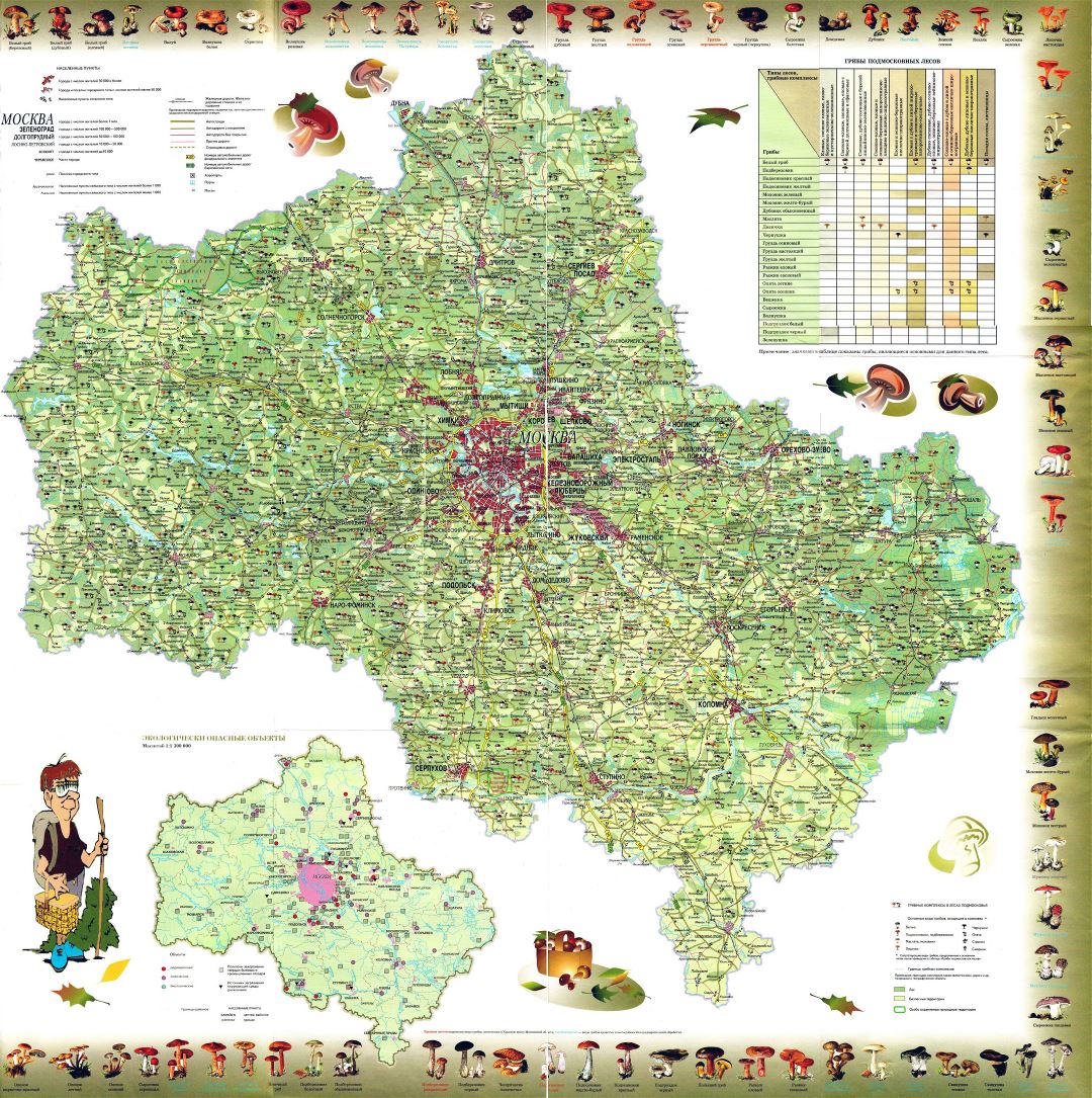 Large detiled mushroom map of Moscow region in russian