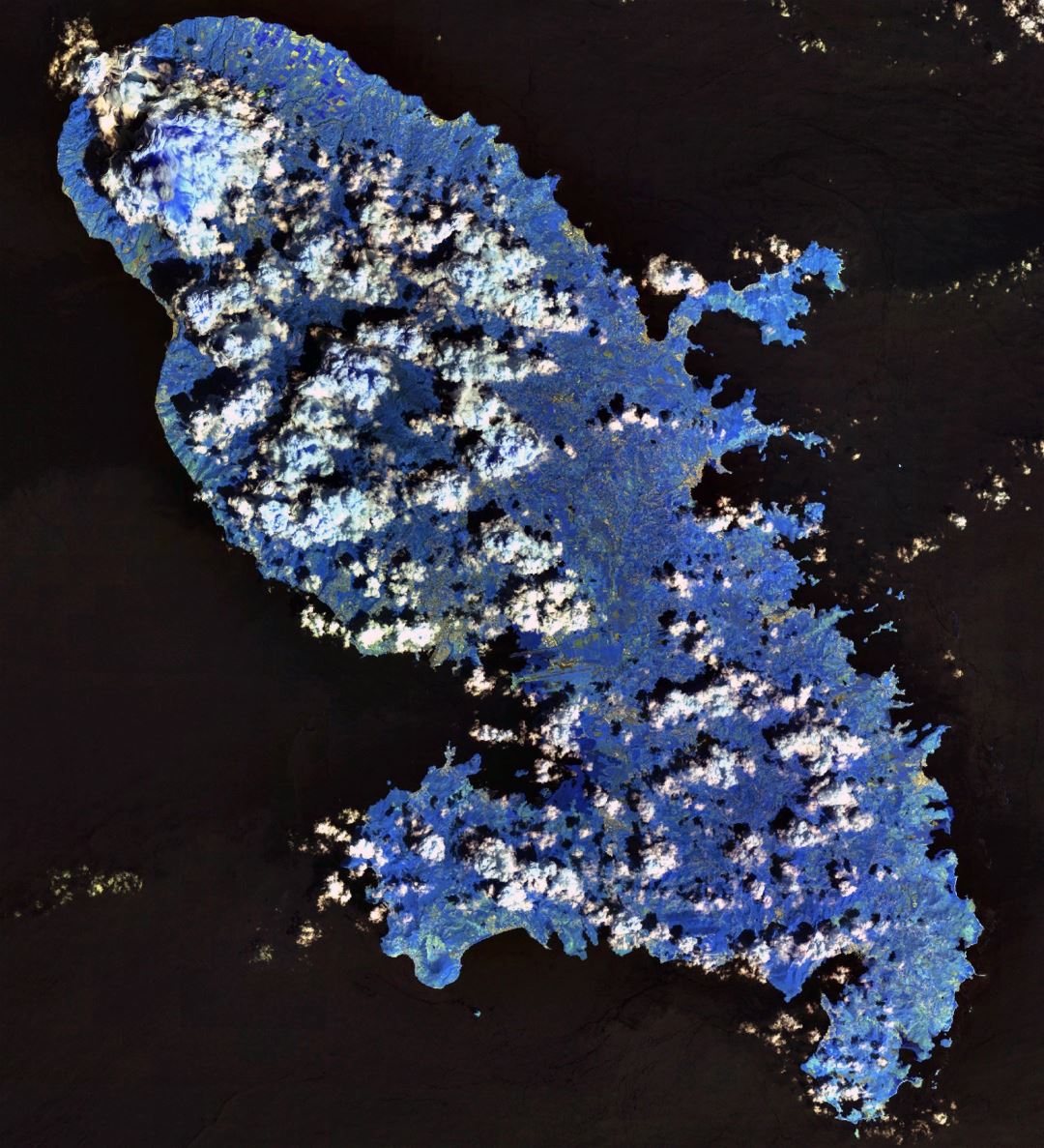 Large detailed satellite map of Martinique