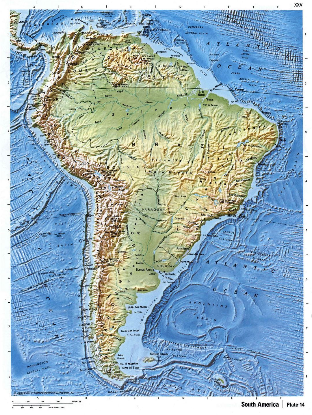 Detailed relief map of South America