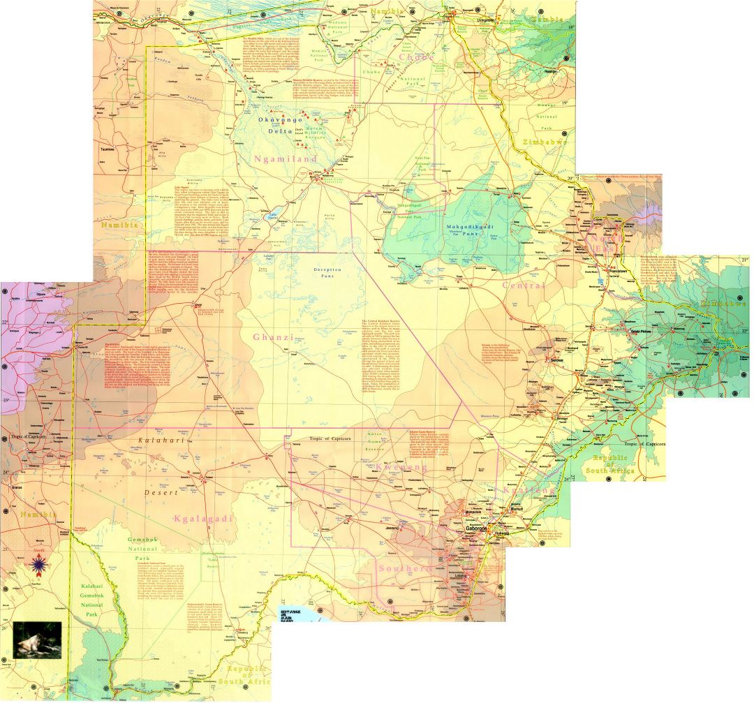 Large detailed topographical map of Botswana with roads, cities and other marks