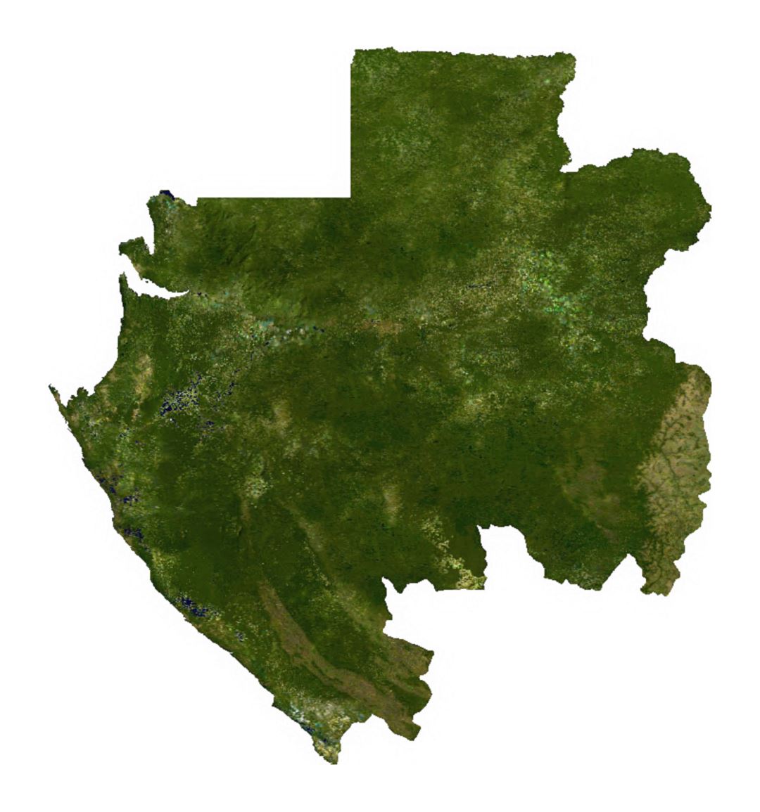 Satellite map of Gabon