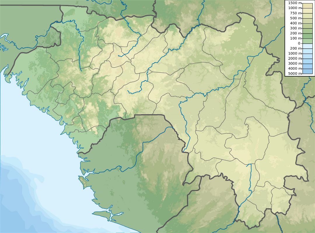 Large physical map of Guinea