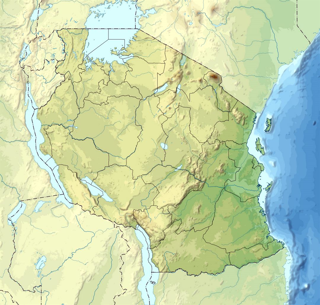 Detailed relief map of Tanzania