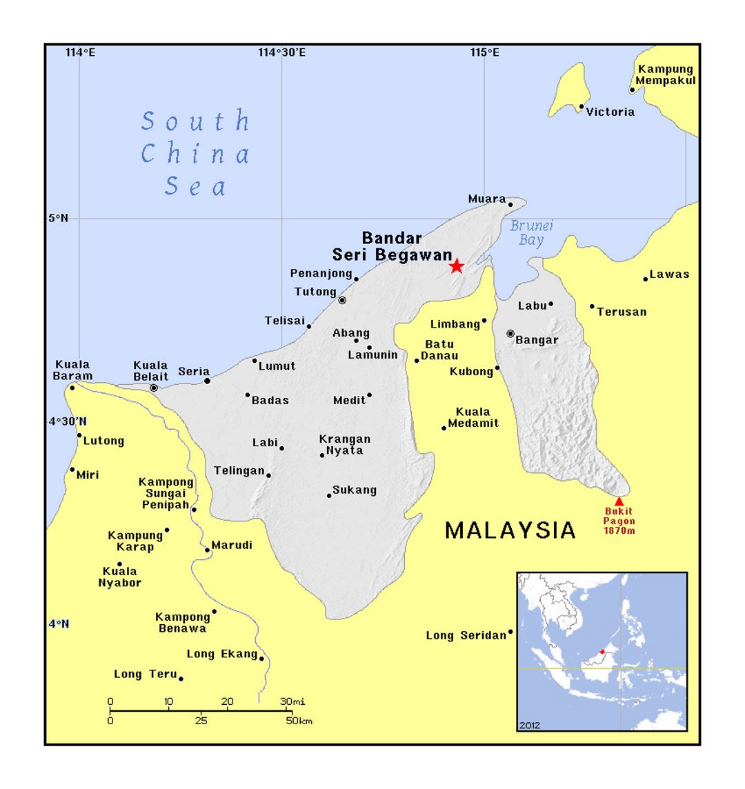 Detailed political map of Brunei with relief