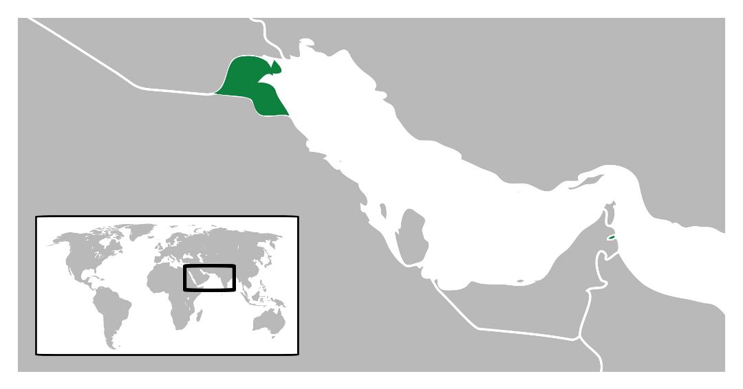 Large location map of Kuwait