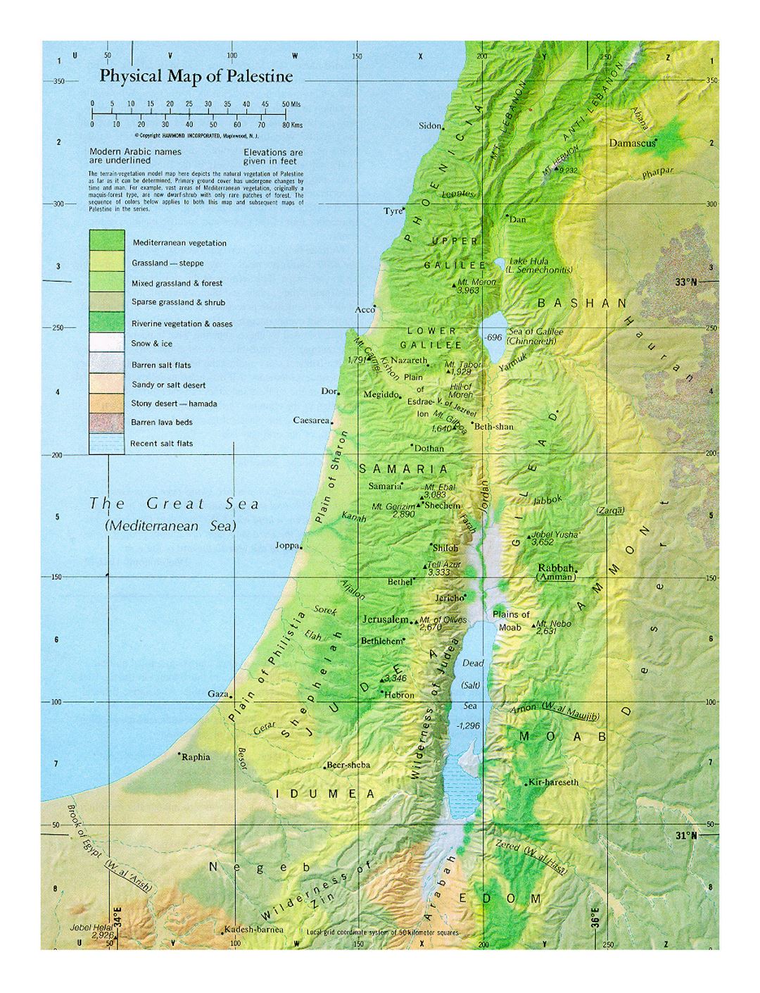 Detailed physical map of Palestine