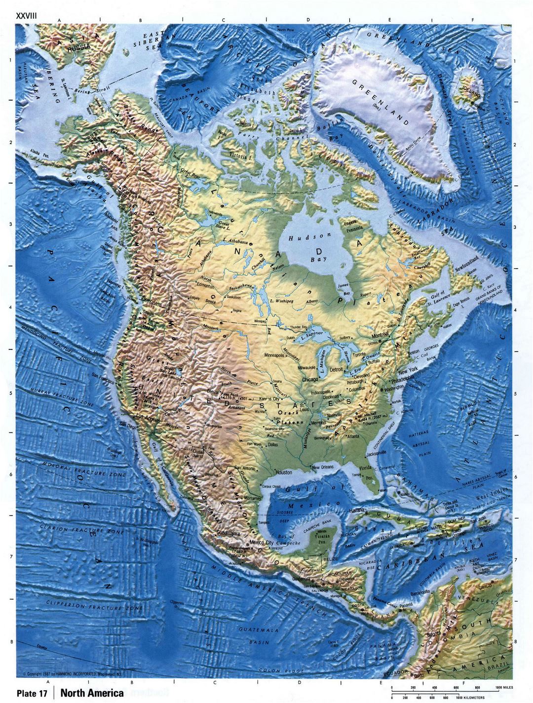 Detailed relief map of North America